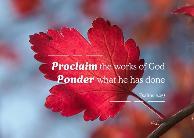 Proclaim the works of God & ponder what He has done