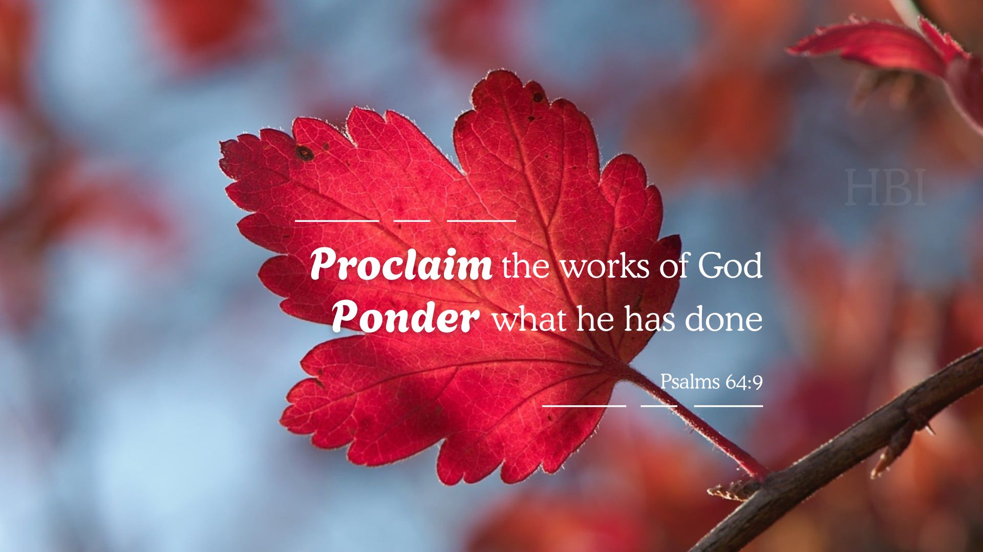 Proclaim the works of God & ponder what He has done