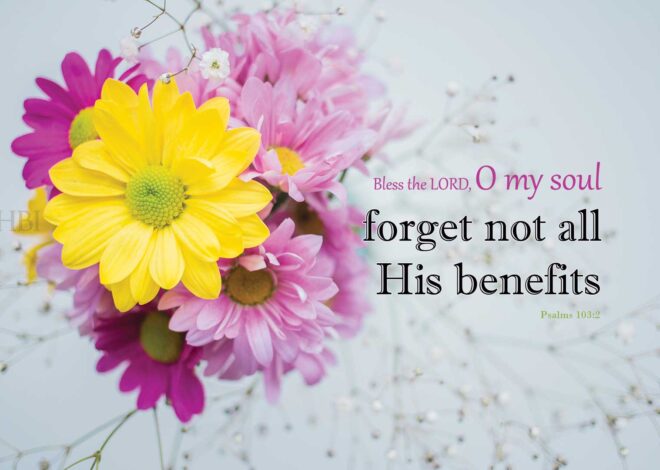 Bless the Lord, O my soul, and forget not all His benefits