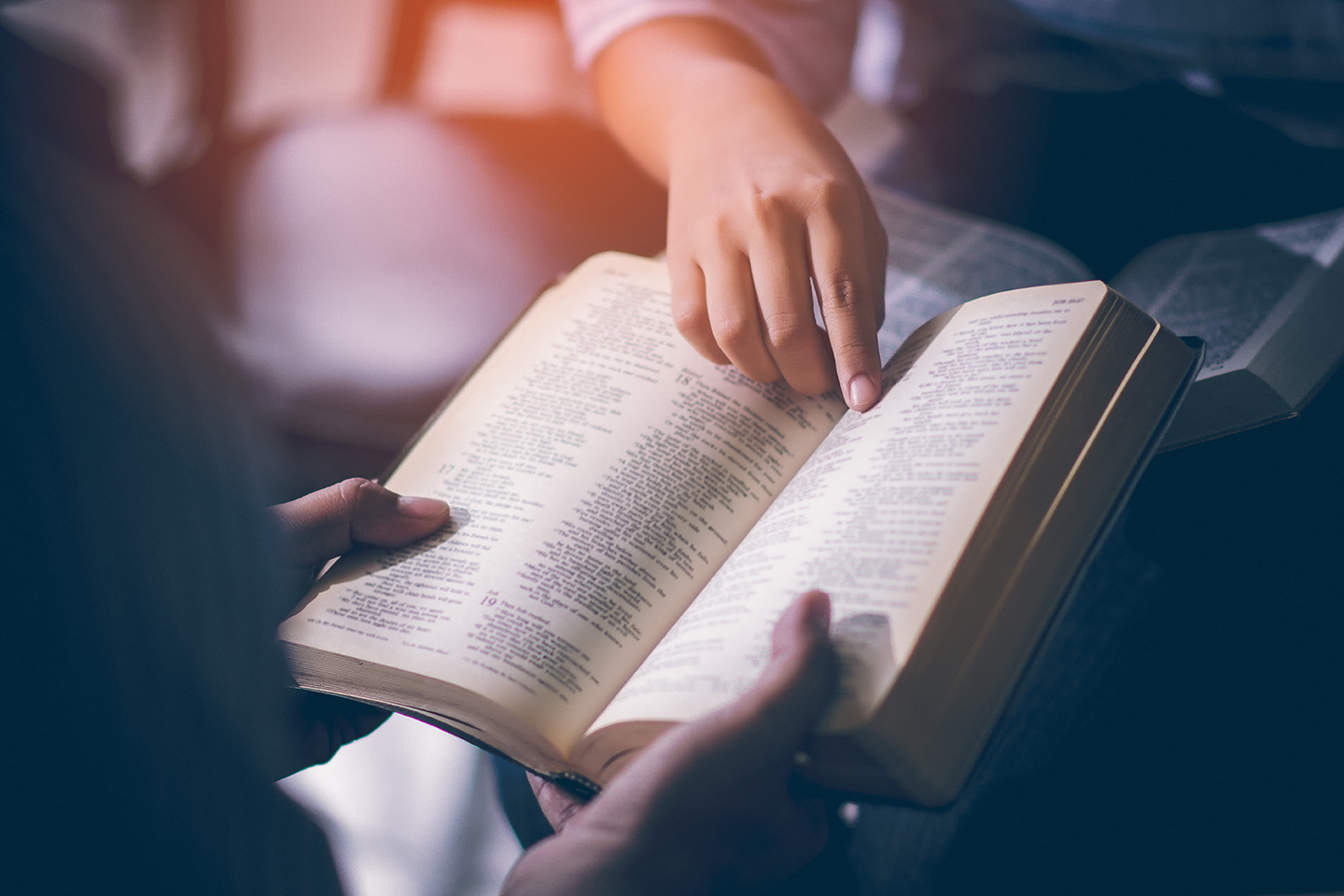 The Sign of the Covenant