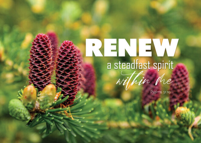 Renew a steadfast spirit within me