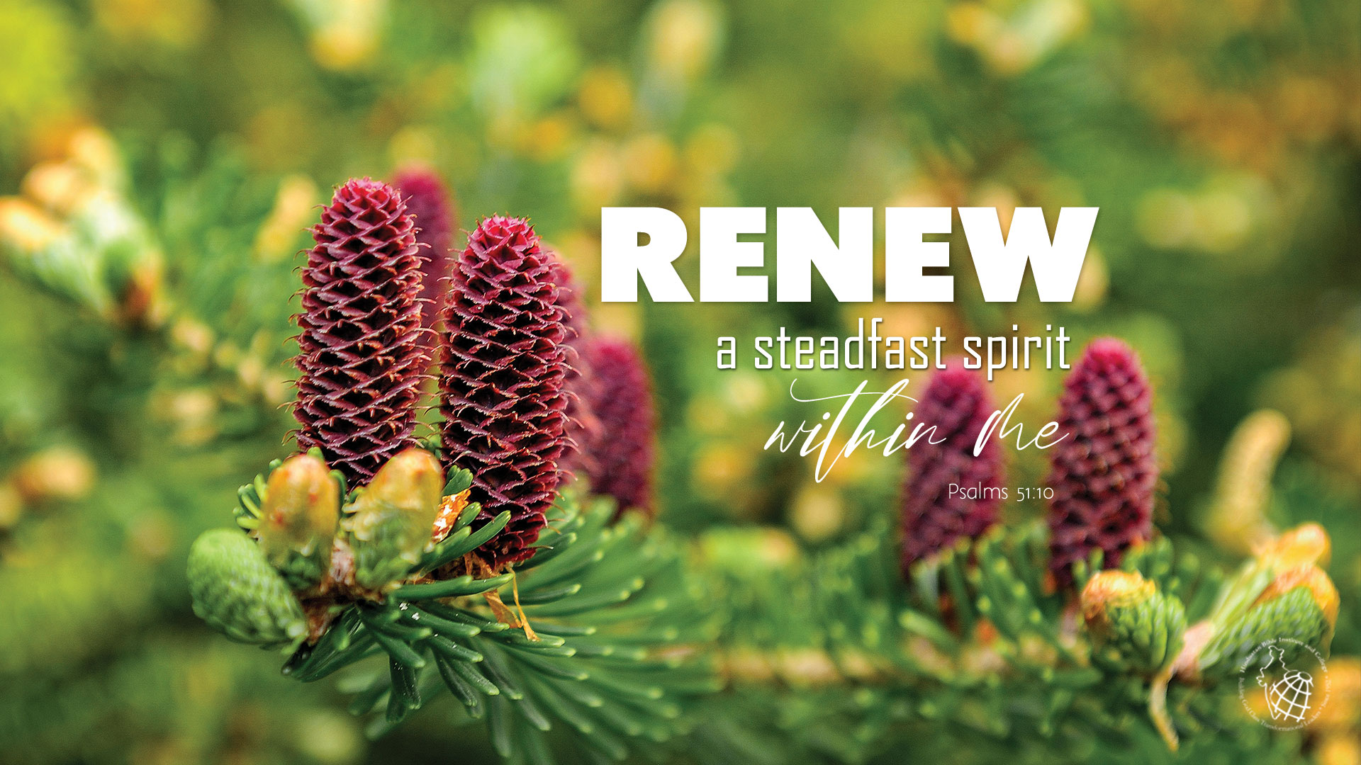 Renew a steadfast spirit within me